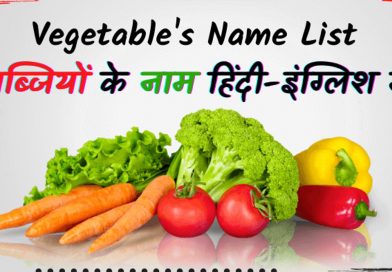 सब्जियों के नाम हिंदी और इंग्लिश में – Vegetable name in english to hindi with pictures सब्जियों के नाम हिंदी और इंग्लिश में – Vegetable name in english to hindi with pictures