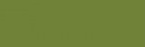 Olive Color