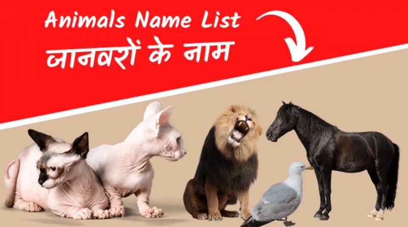 Wild and Domestic Animals name in hindi and english- जानवरों के नाम हिंदी में Wild and Domestic Animals name in hindi and english- जानवरों के नाम हिंदी में