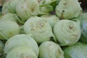 kohlrabi | vegetable name