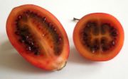 tamarillo