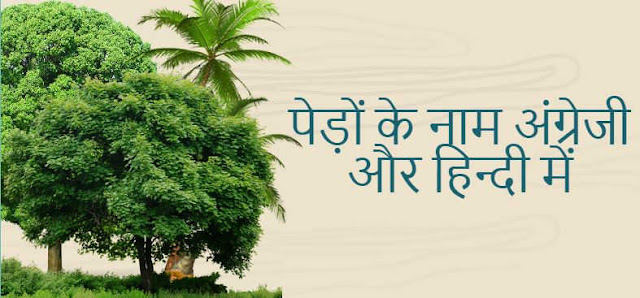 पेड़ों के नाम अंग्रेजी और हिन्दी में Names of Trees in English and Hindi