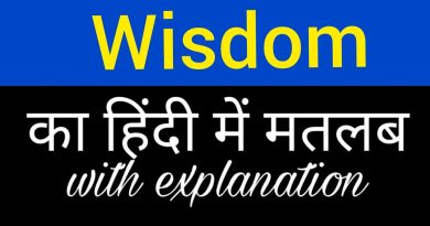 Wisdom Meaning in Hindi Wisdom Meaning in Hindi