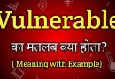 Vulnerable Meaning in Hindi Vulnerable Meaning in Hindi